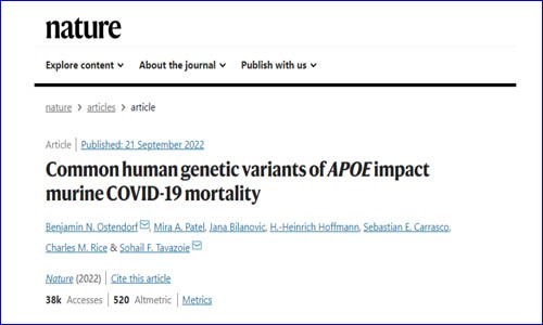 文献解读 |Nature 为什么有些人感染新冠后死亡风险高？研究揭示与 APOE 基因型有关！
