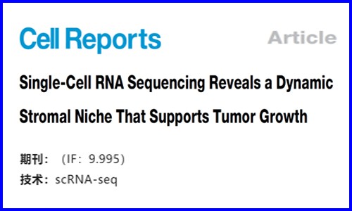 文献解读 |ScRNA-seq 揭示了动态基质生态位支持肿瘤生长