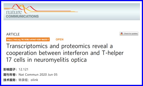 文献解读 | 转录组学和蛋白质组学揭示视神经脊髓炎中干扰素和辅助性 T 细胞 17 的协同作用