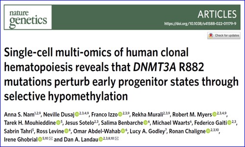 单细胞多组学技术 | 解析 DNMT3A R882 突变在人类克隆造血中的影响