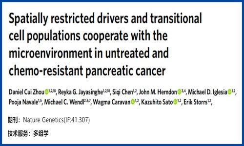 文献解读 | 未治疗和化疗耐药胰腺癌中空间受限的驱动因子和过渡细胞群与微环境的互作