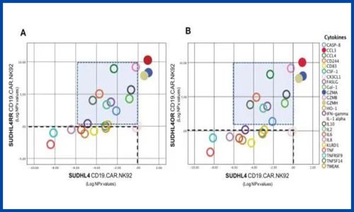 蛋白质组学 + 转录组学 | 细胞互作机制、分泌组学、标志物筛选一次搞定