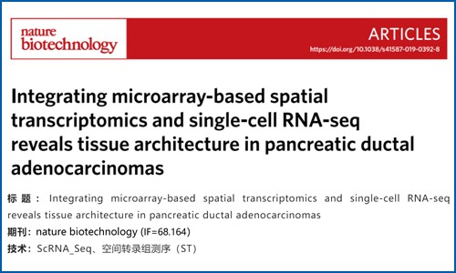 文献解读 | 结合基于微阵列的空间转录组和单细胞 RNA-seq 揭示胰腺导管腺癌的组织结构