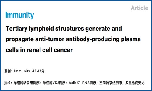 文献解读 | 肾透明细胞肿瘤三级淋巴结构产生抗肿瘤活性的浆细胞并促进其传播