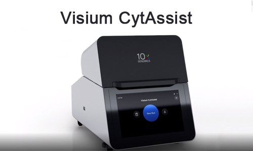 FFPE 空间多组学 | 高效解决方案 Visium CytAssist
