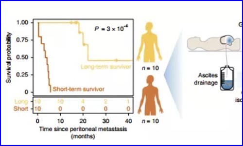 免疫研究 | 单细胞测序揭示肝癌中免疫细胞图谱