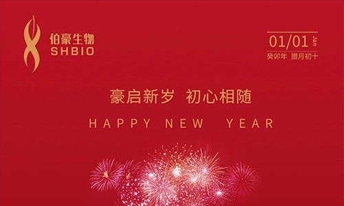 元旦快乐 | 豪启新岁，初心相随！