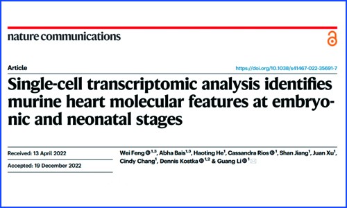 文献解读 |Nat Commun 发表胚胎及新生儿期小鼠心脏单细胞转录组图谱，揭示先天性心脏病相关基因的细胞类型及阶段特异性富集