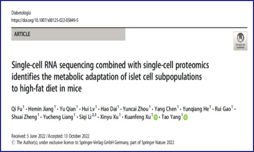 项目文章 | 杨涛团队单细胞测序揭示高脂喂养小鼠胰岛细胞亚群的特征