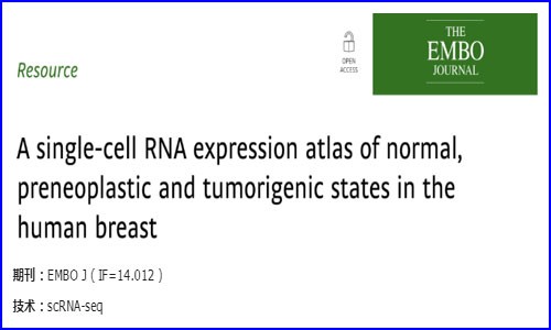 文献解读 | 人类乳腺正常、癌前和致瘤状态的单细胞 RNA 表达图谱