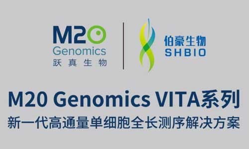 走进 NGSC 生态合作伙伴│金沙9001cc以诚为本——技术与产品双轮驱动新一代单细胞测序市场发展