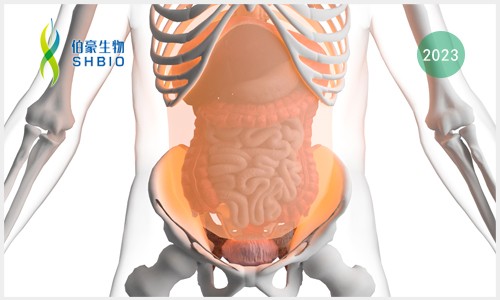 项目文章 | Olink（IF 27.973）基于泼尼松联合 mTOR 抑制剂西罗莫司治疗腹膜后纤维化的临床研究