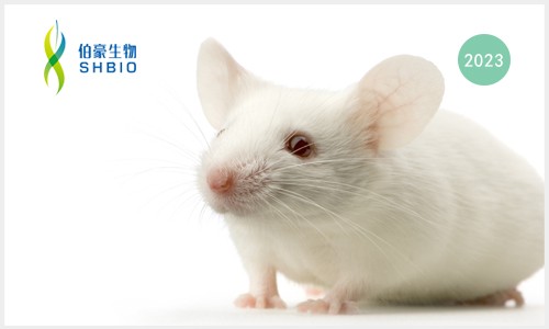 项目文章 | 单细胞 RNA 测序联合单细胞蛋白质组学鉴定小鼠胰岛细胞亚群对高脂饮食的代谢适应性调控