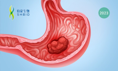 文献解读 |ARID1A 缺失胃癌的综合分子表型揭示了普遍的表观基因组重编程和治疗机会