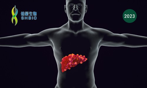 文献解读 | 原发性肝癌空间结构综合分析