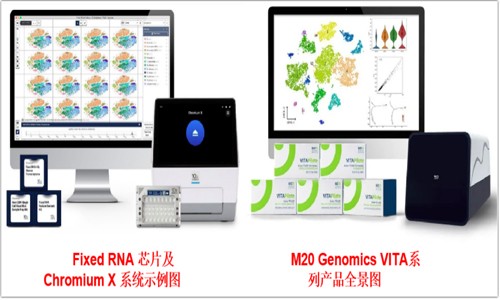 用证据说话 | 实测 FFPE 样本进行单细胞测序狠好使！