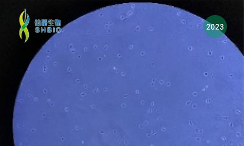 金沙9001cc以诚为本 FFPE 石蜡样本多组学一站式解决方案