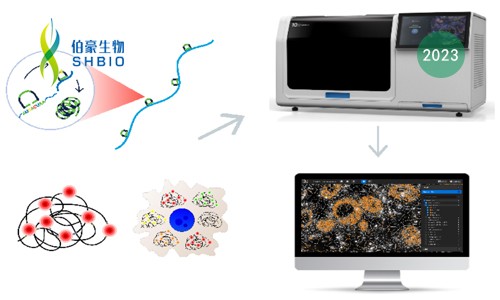2023 年空间组学技术再获殊荣 | 伯豪生物再添空间组学研究利器——Xenium 亚细胞空间原位分析技术！