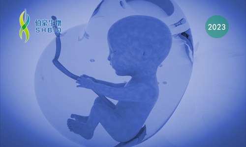 项目文章 | 转录组测序分析揭示了基因在产前 PM2.5 暴露后男性后代髓磷脂异常发育中的潜在作用