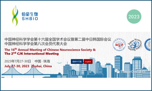 神经科学年会 | 伯豪生物受邀参加中国神经科学学会第十六届全国学术会议暨第二届中日韩国际会议