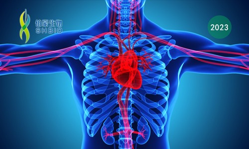 文献解读 | 缺血性心肌病组织进行单细胞核测序揭示了终末期心力衰竭转录图谱