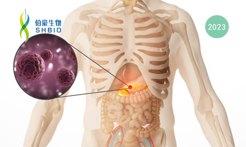 文献解读 | 单细胞测序揭示了在人类慢性胰腺炎中具有 CCR6-CCL20 串扰的独特免疫微环