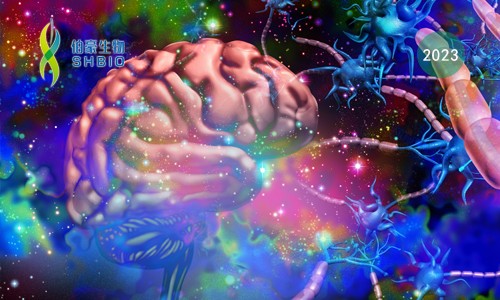 里程碑 | Science 系列 21 篇论文齐发，共绘最新最全“脑细胞图谱”