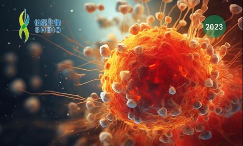 文献解读 | 血管周围的三级淋巴样结构中干细胞样 CD4+ T 细胞在自身免疫性血管炎中的作用