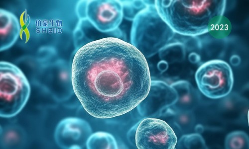 文献解读 | NK 细胞的泛癌单细胞全景图谱