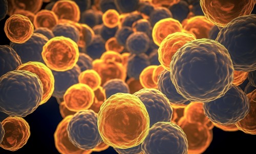 文献解读 | 具有细胞毒性潜能的肿瘤驻留 T 细胞与头颈癌患者的新辅助抗 PD- 1 反应有关