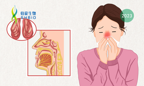 客户新文速递 | 转录组 + 蛋白组学共同揭示慢性鼻窦炎中鼻息肉和鼻液之间蛋白质及基因表达特征