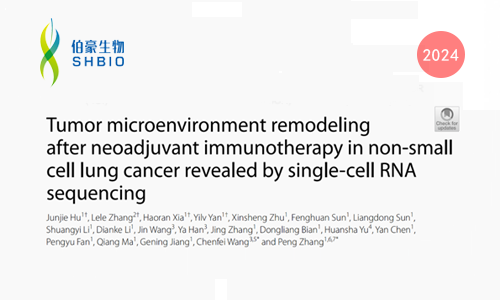 文献解读 | 单细胞 RNA 测序揭示非小细胞肺癌新辅助免疫治疗后肿瘤微环境重塑