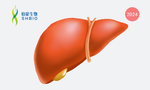 文献解读 | 基于人工智能的病理学特征可作为标志物预测阿替利珠单抗 - 贝伐珠单抗治疗肝癌的敏感性