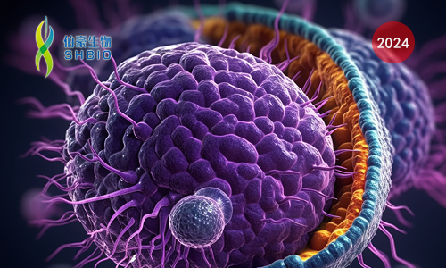 文献解读 | 新辅助放化疗后增强的抗肿瘤免疫力介导了切除胰腺癌女性的良好预后