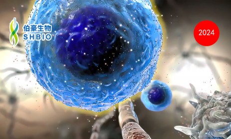 细胞治疗 |Olink 血浆蛋白组学助力 CAR- T 治疗中 CRS 机制研究与早期标志物发现