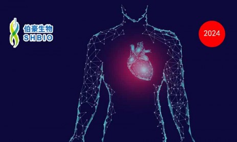 Nature| 利用 RNA 测序和空间成像技术成功构建高分辨率人类心脏空间单细胞图谱