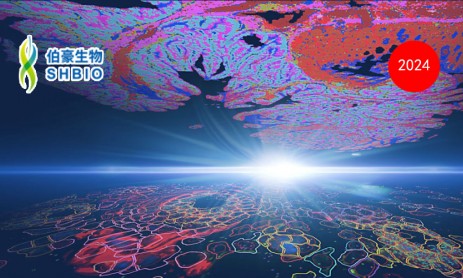 突破空间组学研究极限：Visium HD 与 Xenium In Situ 的完美融合