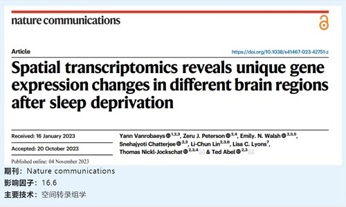 文献解读 | 空间转录组学揭示睡眠剥夺后不同大脑区域的特异性基因表达变化