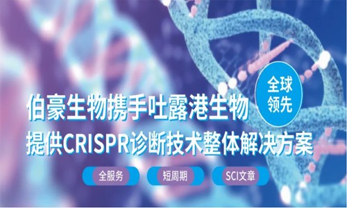 CRISPR 智库 | 不依赖 PAM 序列，CRISPR-Cas12a 能超特异性靶向 dsDNA 吗？