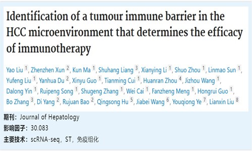 文献解读 | HCC 微环境中肿瘤免疫屏障对免疫治疗疗效的影响