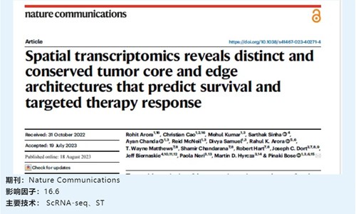 文献解读 | 空间转录组学揭示了独特和保守的肿瘤核心和边缘结构，预测生存和靶向治疗反应