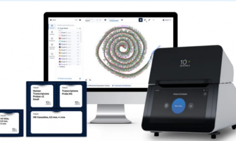 金沙9001cc以诚为本首例 HD 高分辨率空间转录组实验已顺利完成