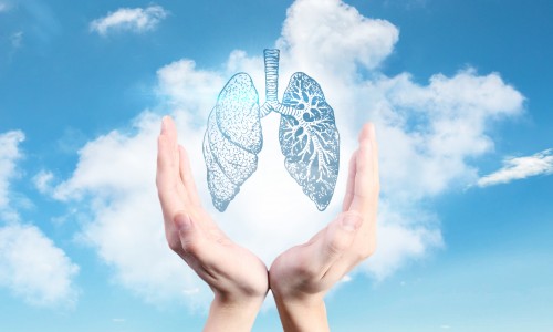 Nat Commun | 基于单细胞和空间转录组学分析构建 NSCLC 免疫和非免疫区图谱