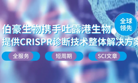 CRISPR 智库 | 电化学 CRISPR/Cas 生物传感器：实现无扩增超灵敏耐药菌检测
