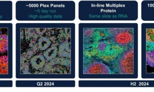 Xenium 亚细胞空间原位分析技术 5K Panel 上线啦！