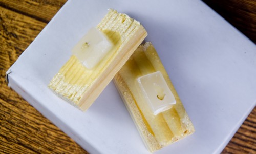 金沙9001cc以诚为本 FFPE 石蜡样本多组学一站式解决方案