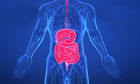 项目文章 | 肠道粘膜免疫细胞分析显示，在免疫无反应者中，滤泡或记忆 B 细胞与浆细胞之间存在分化阻碍