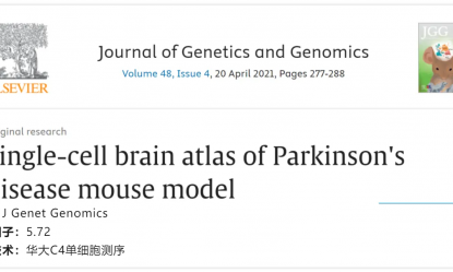 文献解读 | 帕金森病小鼠模型脑单细胞图谱
