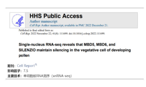 文献解读 | 单细胞核 RNA 测序表明 MBD5、MBD6 和 SILENZIO 在发育花粉的营养细胞中沉默基因表达