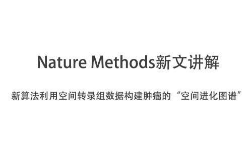 Nature Methods | 新算法利用空间转录组数据构建肿瘤的“空间进化图谱”